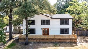 863 Plum Tree