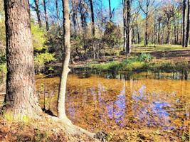TBD Red Oak Circle