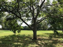 31618 Churchill Field Lot 3