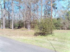 TBD Bridge view Drive