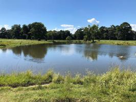 592 Faye Jones Rd