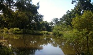 31143 Riverlake Road Lot 9