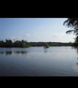 499 Laurel Cove