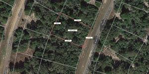 Lot 3 Sycamore Branch Drive