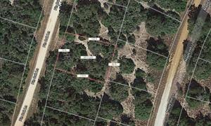 Lot 40 Pin Oak Lane
