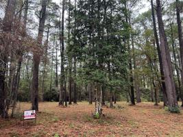 TR 28 Oak Pine Drive