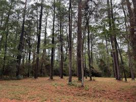 TR 27 Oak Pine Drive
