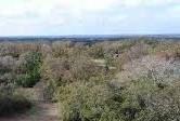00 Blackgum Drive