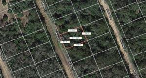 Lot 21 Mulberry Lane