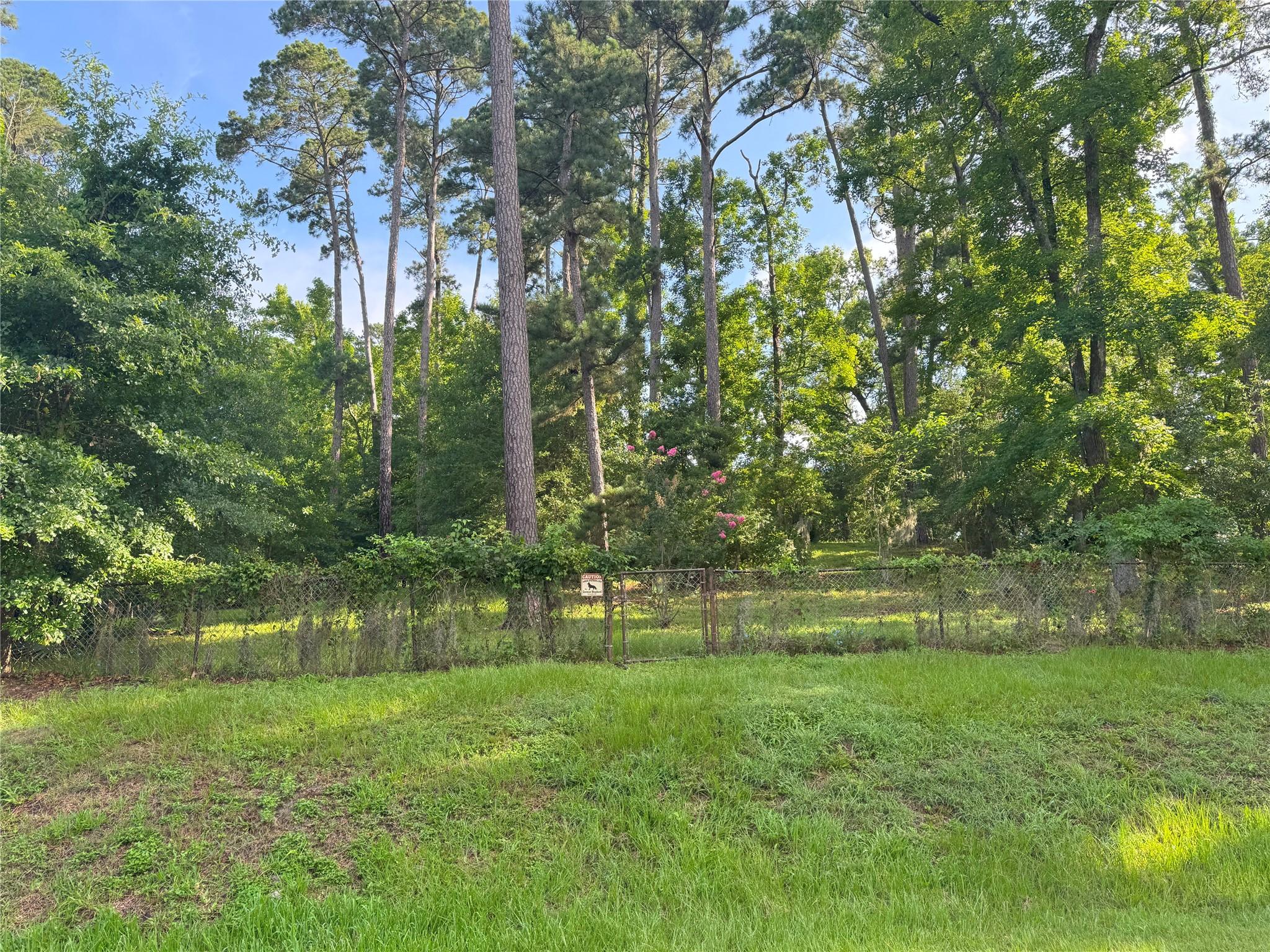 Image 3: View of the lots along Lakeshore Dr (lots 651, 652
