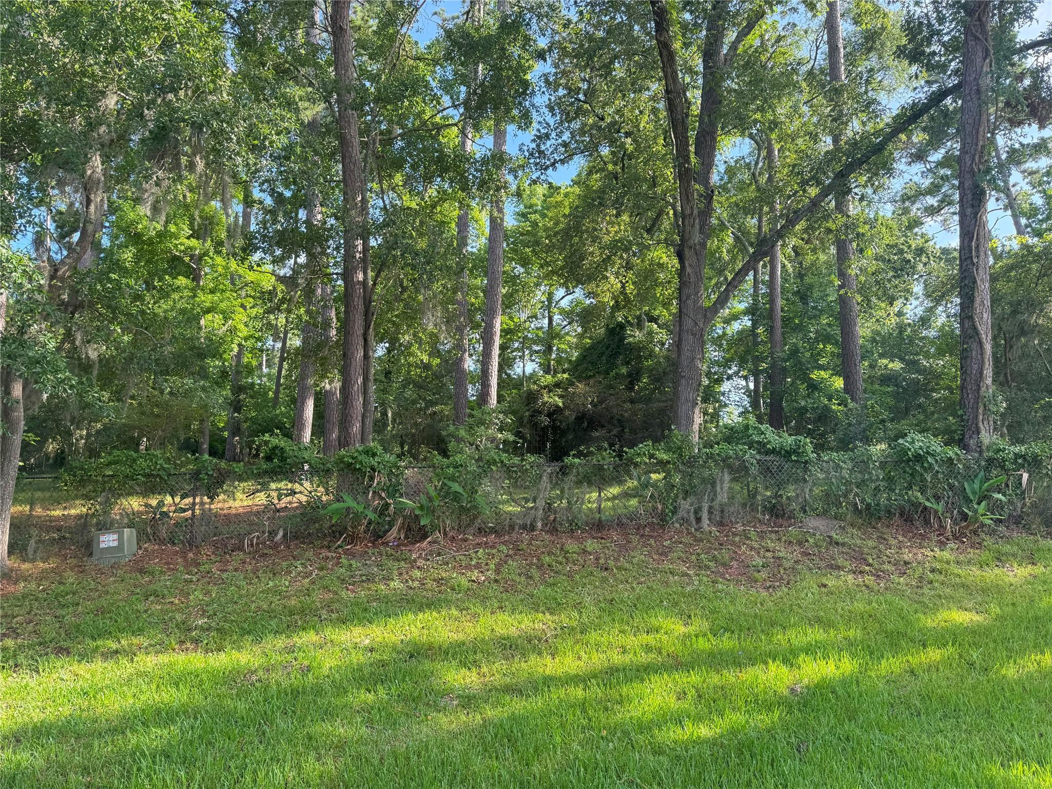 Image 4: View of the lots along Lakeshore Dr (lots 651, 652