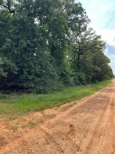 TBD Sabine/Navarro Drive