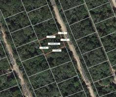 Lot 10 Dogwood Circle