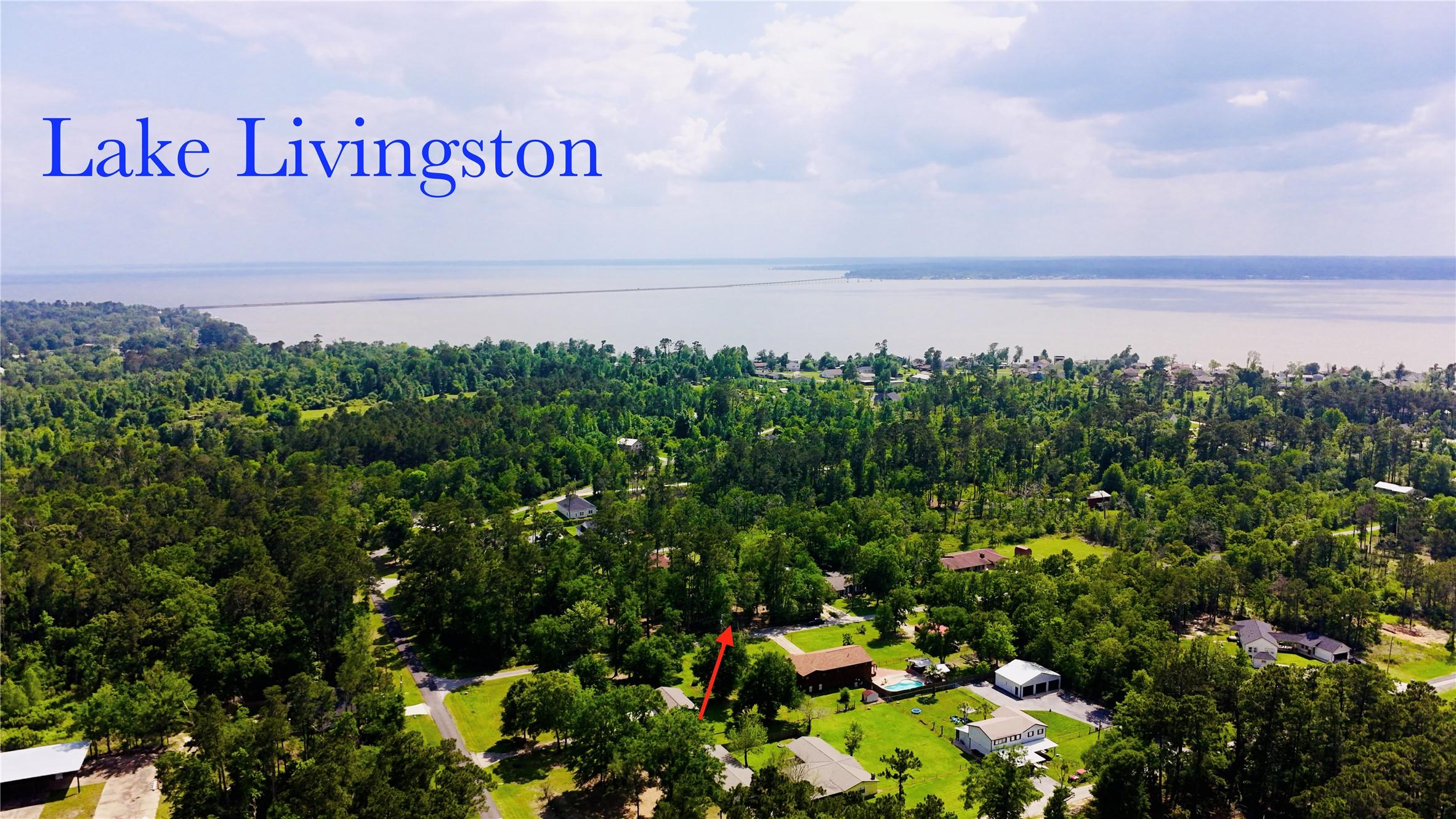 Image 2: Aerial view