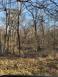 Wood Ln