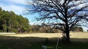 lot 17 Waters Edge Dr