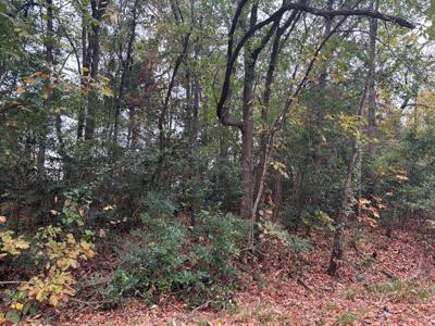 TBD Lt31 Henry Dupree Rd