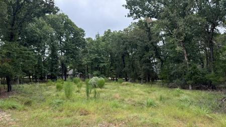 7207 Pedernales