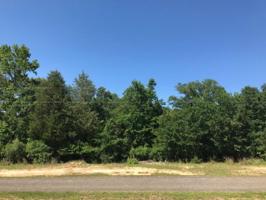 Lot 297 Eland Trail