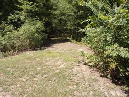 683 Dogwood Trail