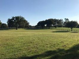 2309 Lakefront Shores