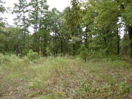 TBD Timber Ridge