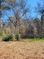 22592 BRIERWOOD
