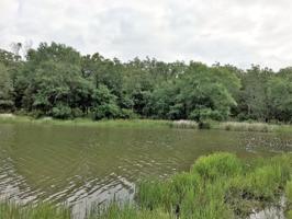 Lot 453 Safari Bluff
