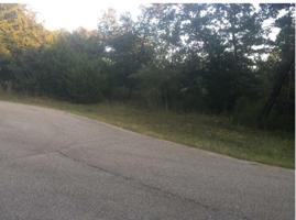 503 Pedernales