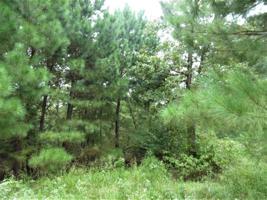 Lot 199 Waters Edge Drive