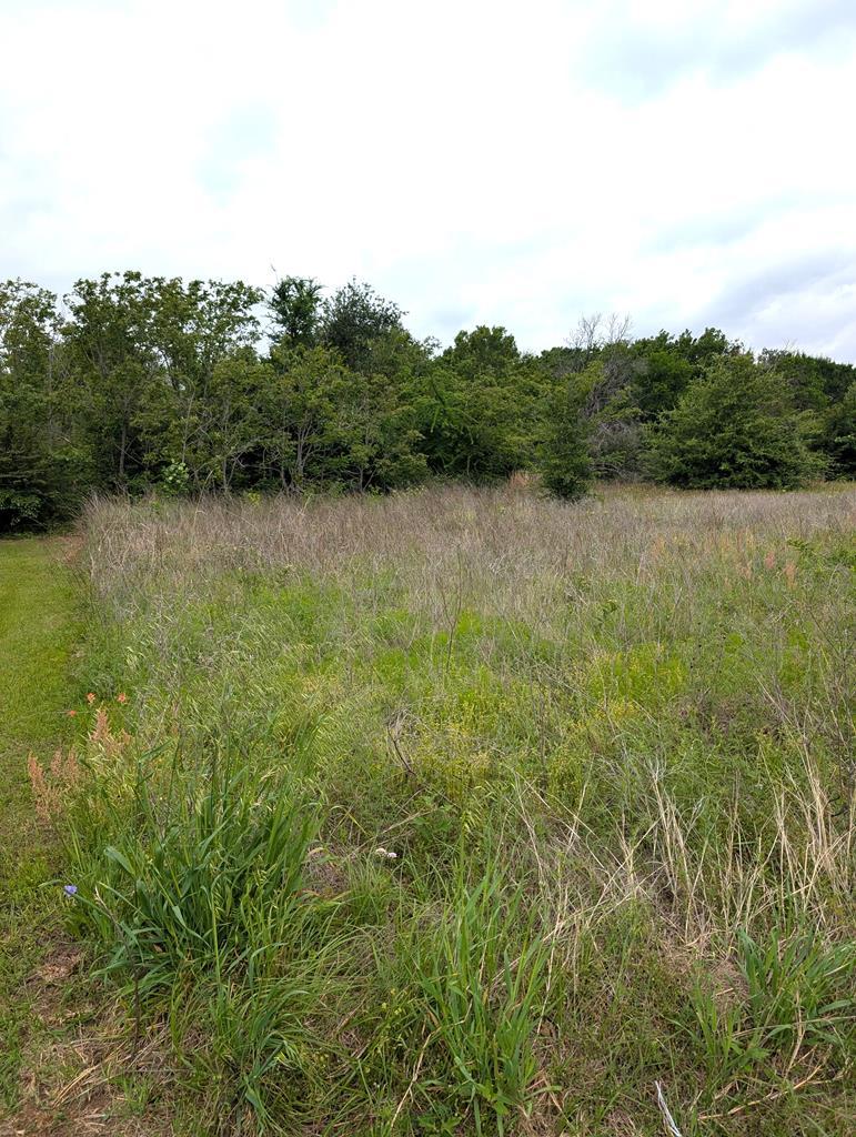 Image 1: Main View