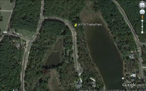 Lot 179 Trophy Point