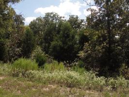Lot 331 Quail Hollow Court