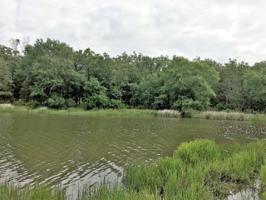 Lot 453 Safari Bluff