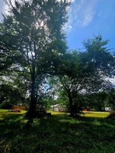Lot 172 Tanglewood Dr