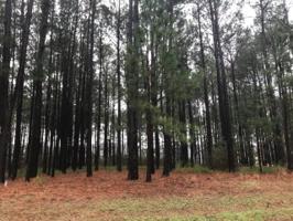 Lot 114 Toler Pointe