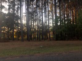 0 Toler Point