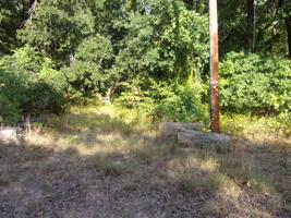 454 Holly Glen