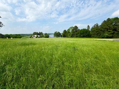 Lot 234 Wildlife Way