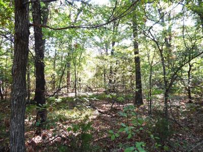 Lt 143 Beachwood Lp