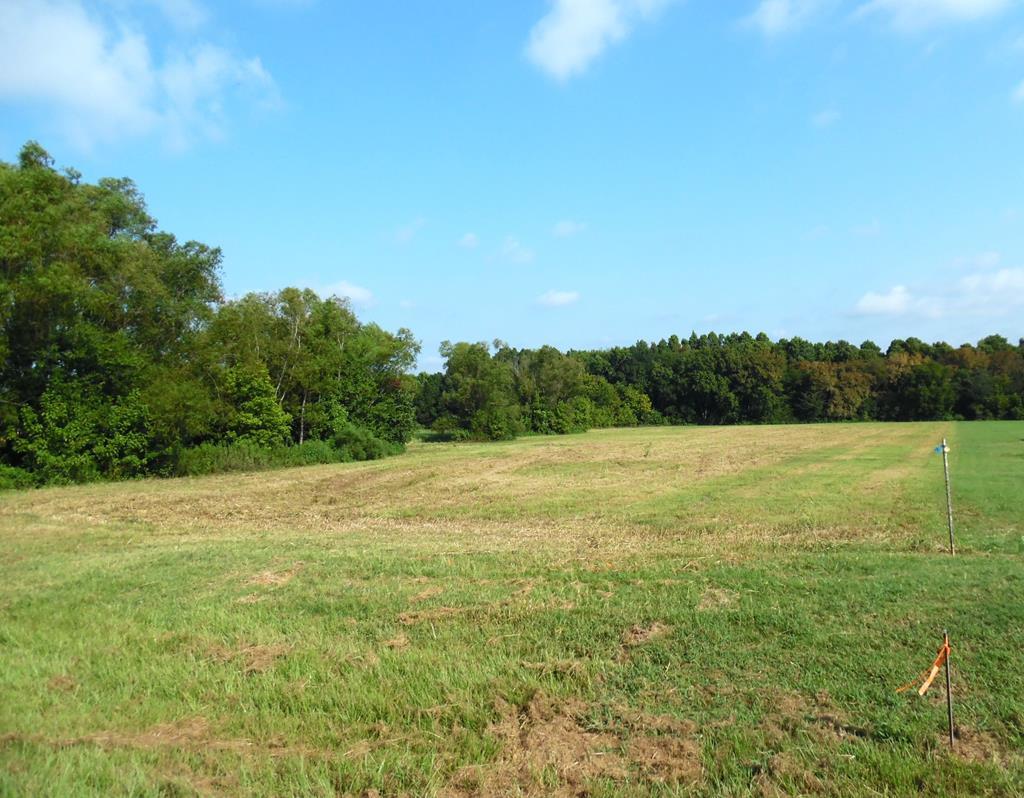 Image 1: Main View