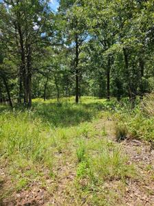 Lot 377 Timber Ridge