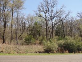 50 Fallow Run