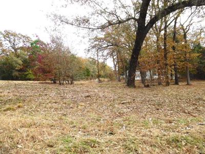 TBD-Lt 1 Willow Ln