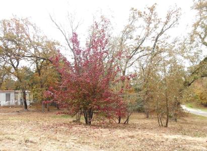 Lt 4 Willow Ln TBD