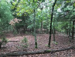 Lot  429 Safari Bluff