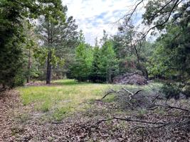 Lot 426 Catfish Creek Ct
