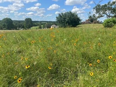 Lot 231 Wildlife Way