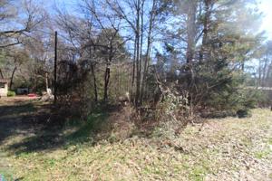 Lot 9 Scott Mobile Trail