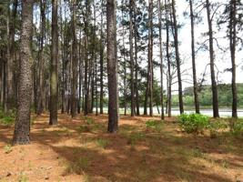 L 114 Toler Pointe